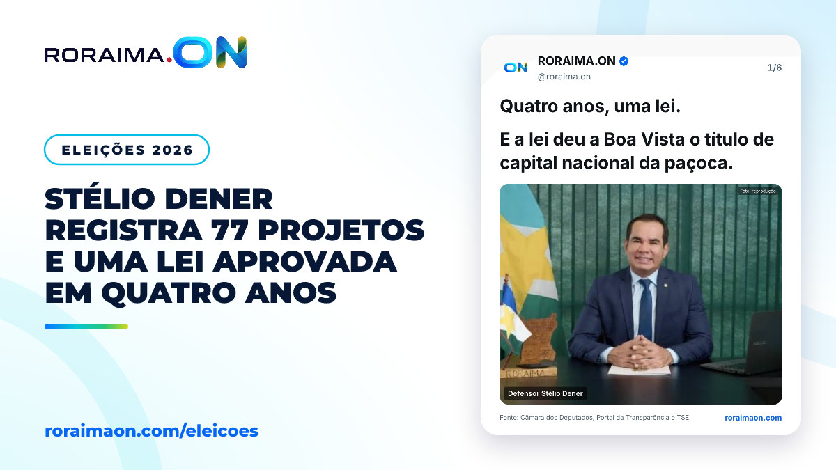 Arte gráfica com foto do deputado Stélio Dener e dados sobre sua atuação parlamentar na Câmara dos Deputados.